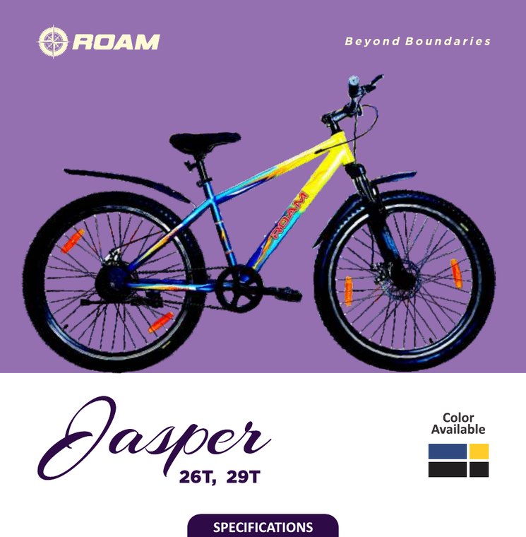 ROAM Jasper bicycle