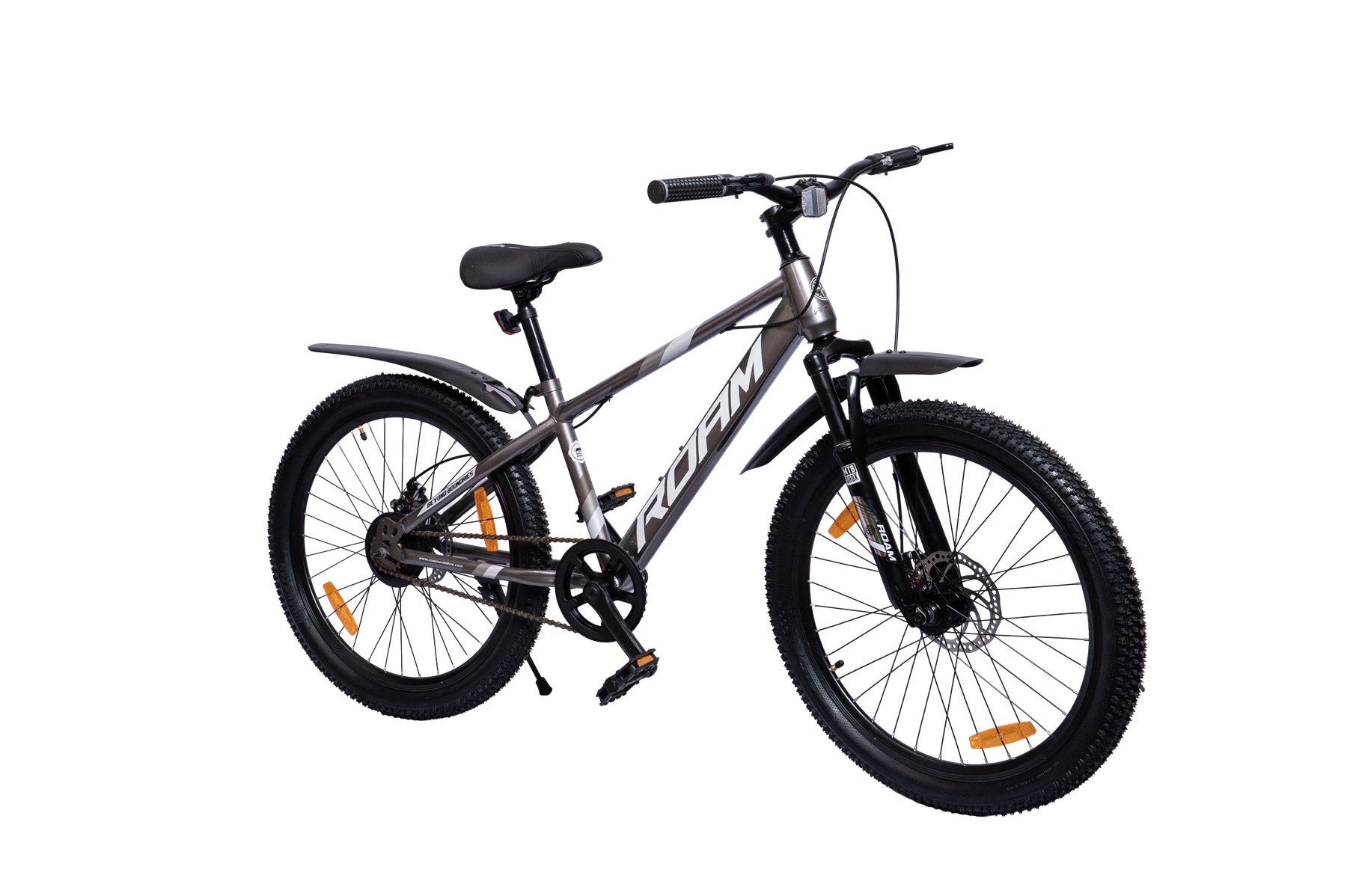 ROAM Delta bicycle
