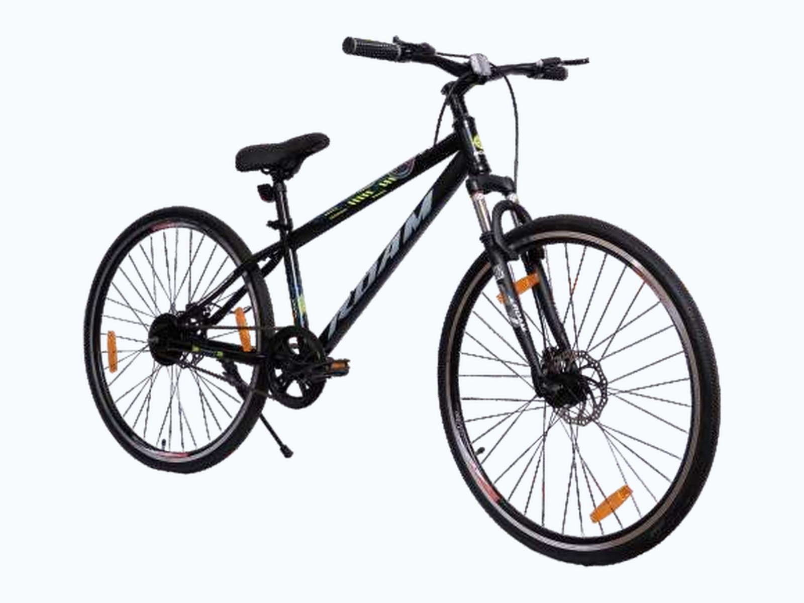 ROAM Speedo bicycle